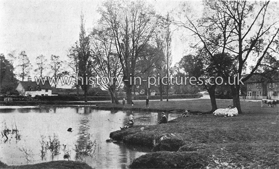 The Pond, Theydon Bois, Essex. c.1908